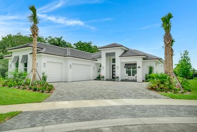 Sand Dollar Grande