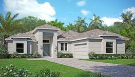 Contemporary Elevation-Standard