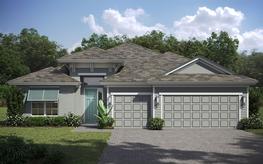 Island elevation