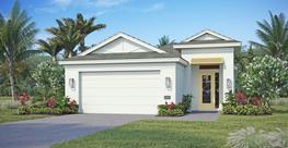 Island elevation