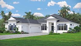 Island elevation