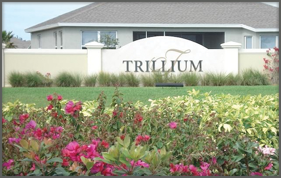 Hot Sellers - Trillium